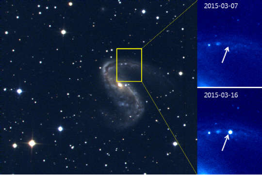 임명신 서울대학교 교수팀이 관측한 제1a형 초신성 'SN 2015F'가 나타난 'NGC 2442' 은하의 모습. 임 교수팀은 SN 2015F의 폭발 순간을 관측해 백색왜성과 보통별의 상호작용으로도 초신성이 생성될 수 있음을 확인했다. 화살표로 가리킨 게 초신성이다. 미래부 제공